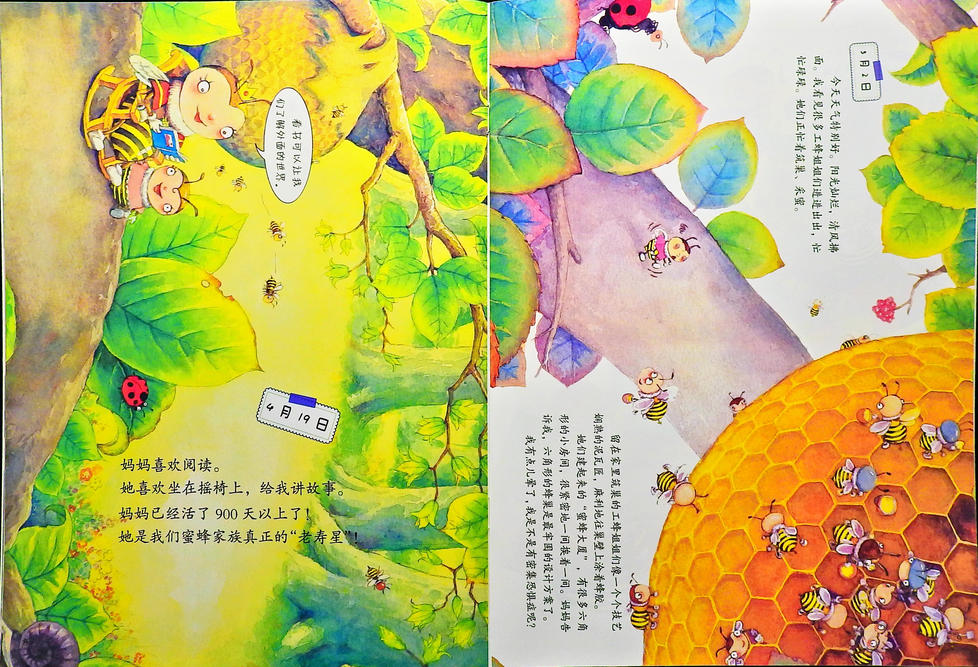 蜜蜂的日记 (06),绘本,绘本故事,绘本阅读,故事书,童书,图画书,课外阅读